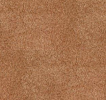 Ковролин AW Parana 84 фото 1 | FLOORDEALER